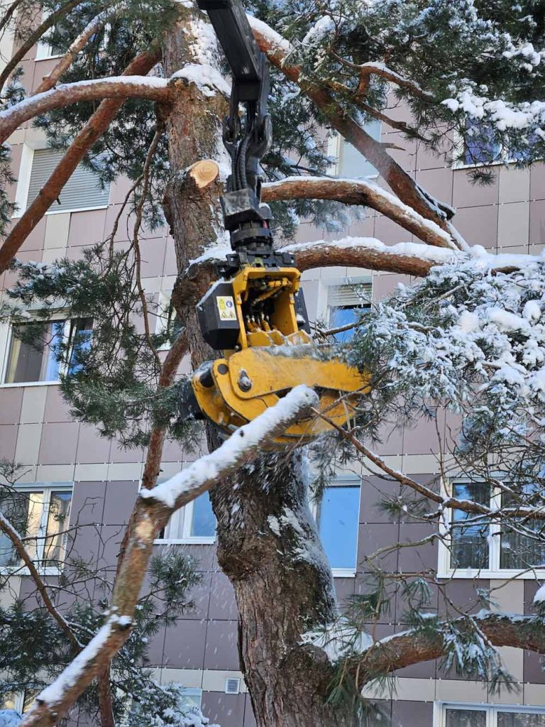 Ein Fällgreifer schneidet einen großen Baum vor einem Gebäude im Winter.