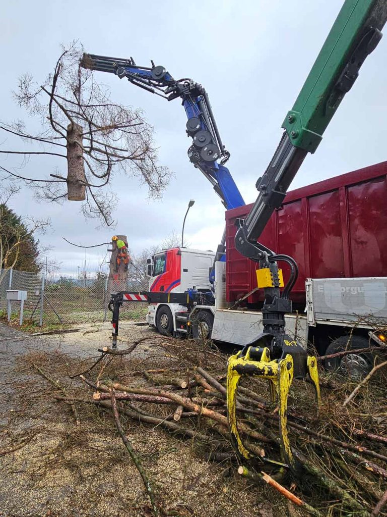 Ein Lastwagenkran hebt einen gefällten Baum in einem Industriegebiet an, während ein Arbeiter in Warnkleidung den Vorgang überwacht.