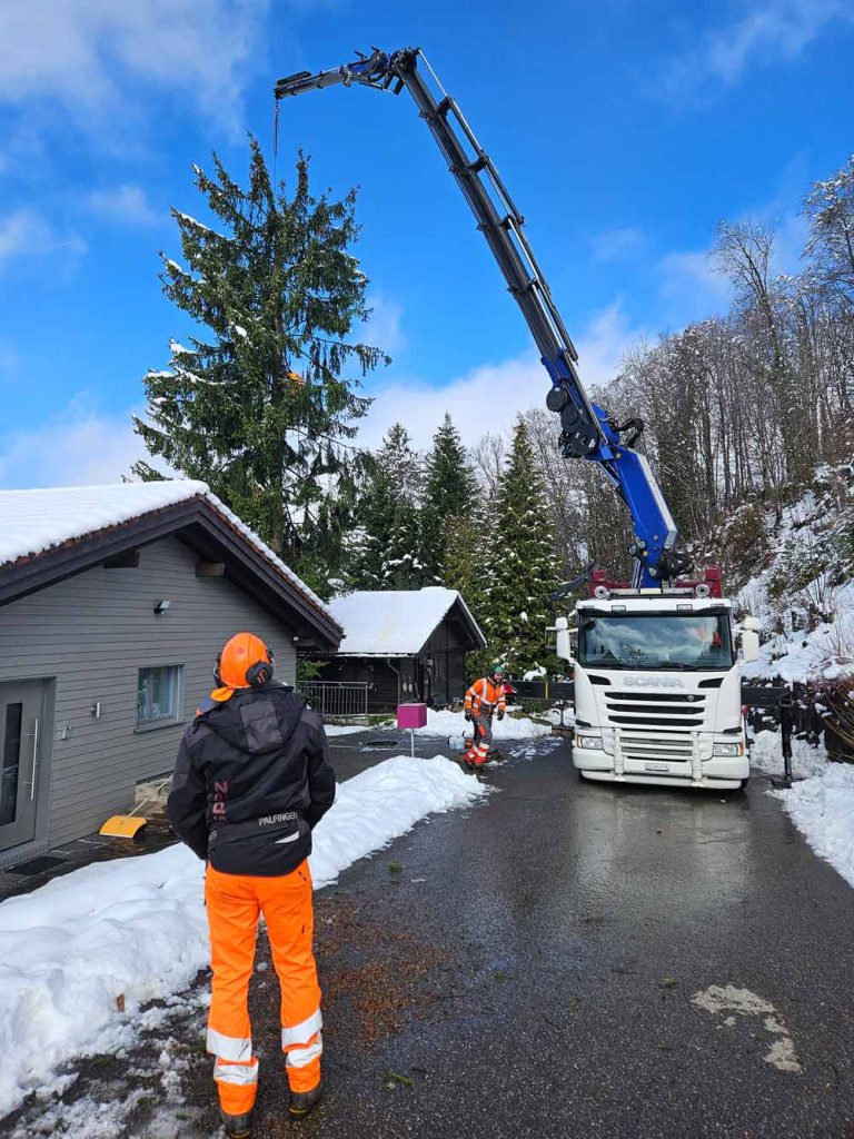 Ein Lastwagenkran hebt einen Baum in einem verschneiten Wohngebiet an, während Arbeiter in orangefarbener Warnkleidung den Vorgang überwachen.