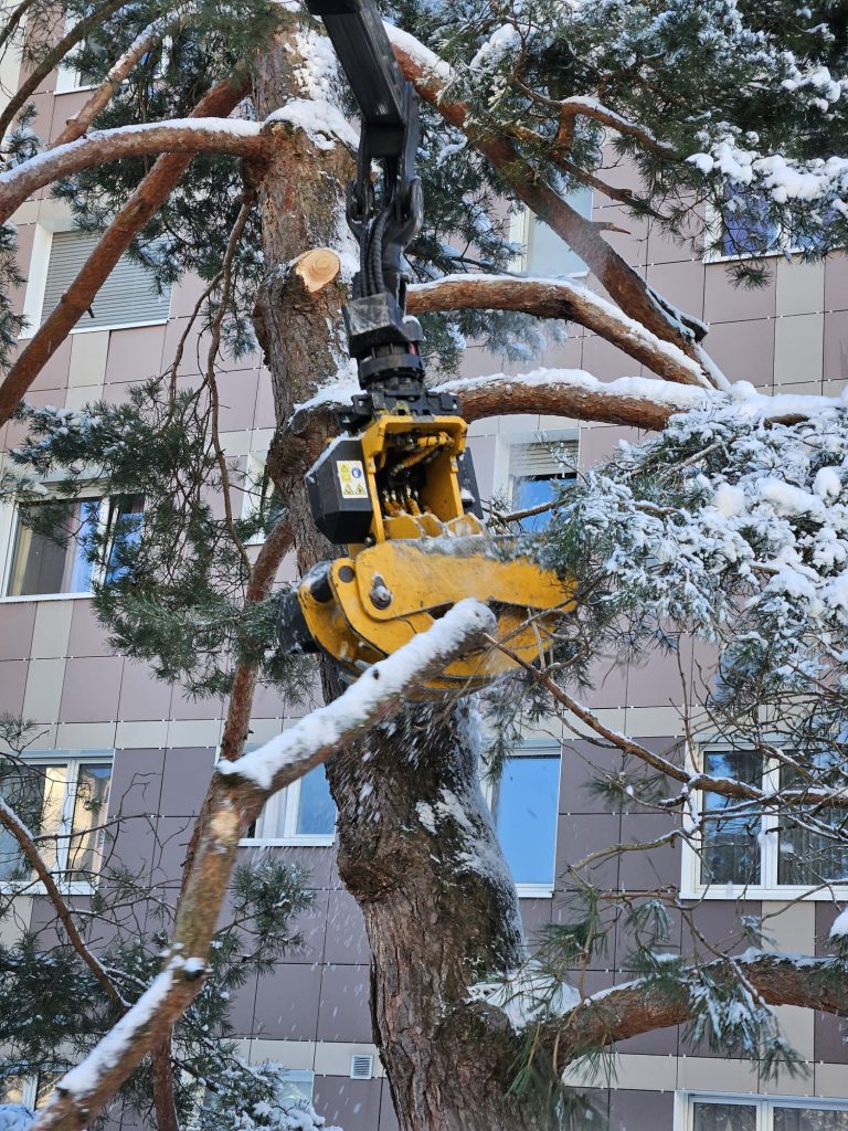 Baumschnitt mit schwerem Gerät im Winter